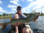 Matthew Randall with an end of summer musky. Matthew Randall holding a musky